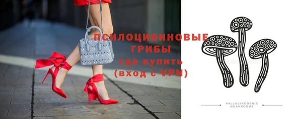 стафф Абаза