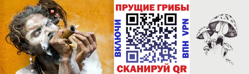 Галлюциногенные грибы Cubensis  Бавлы 