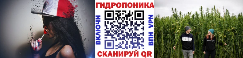 Конопля гибрид  Бавлы 